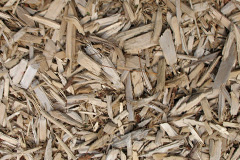 biomass boilers Sandwith